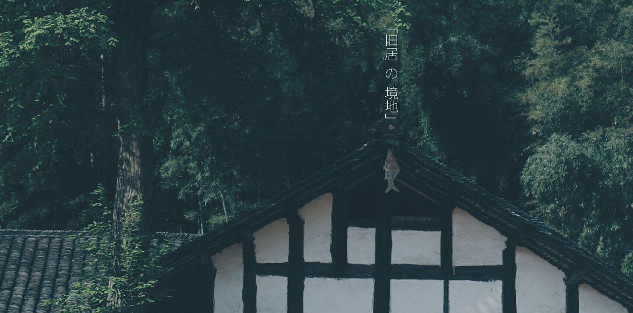 逗小猴开心系列204